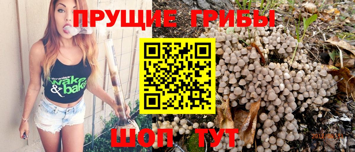 Галлюциногенные грибы мицелий  Галлюциногенные грибы прущие грибы  Усолье-Сибирское  Вход с VPN 