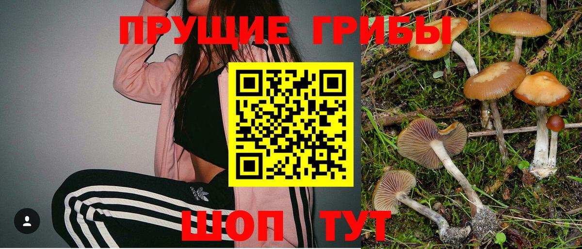 Галлюциногенные грибы Magic Shrooms Усолье-Сибирское